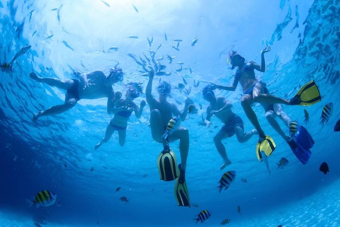 2.5 Hour Xpress Snorkel from Ka’anapali Beach - The Xpress Snorkel format: short boat time, serious water time