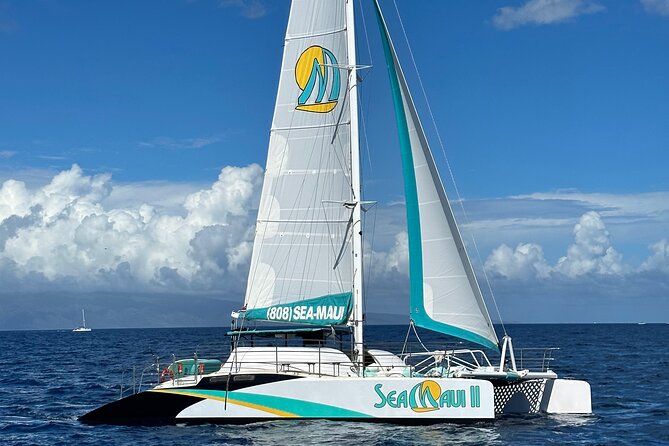 2.5 Hour Xpress Snorkel from Ka’anapali Beach - Mala Wharf: the old pier reef you’ll swim over