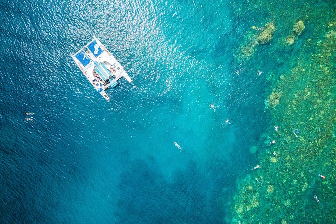 2.5 Hour Xpress Snorkel from Ka’anapali Beach - Price and value: $134.62 for a focused reef swim