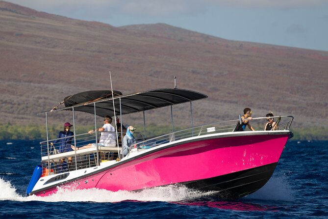 2 Hour Afternoon Lahaina Whale Watch - Whale-Watching Moments: Whale Jail, Breaches, and Underwater Song
