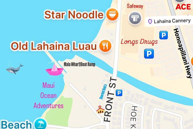 2 Hour Afternoon Lahaina Whale Watch - How the Crew Guides Your Experience (So You Know What You’re Seeing)