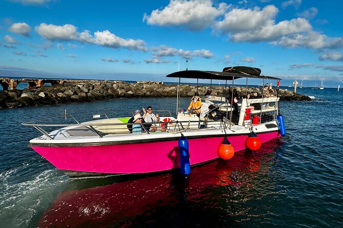 2 Hour Prime Time Maui Whale Watching - The Maui Views: Molokaʻi, Lānaʻi, Kahoʻolawe, and West Maui Mountains
