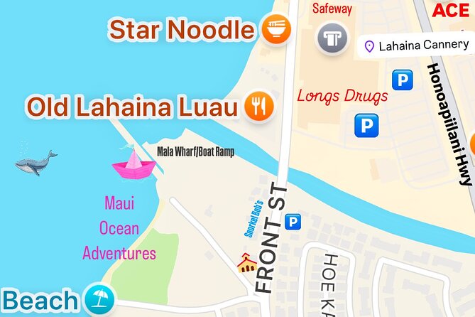 2 Hour Prime Time Maui Whale Watching - What the 2 Hours Looks Like on the Water
