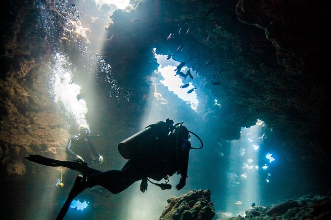 2 Tank Lanai Cathedral Scuba Dive Via Boat for Certified Divers - Quick take: why this Lanai Cathedrals outing is a standout