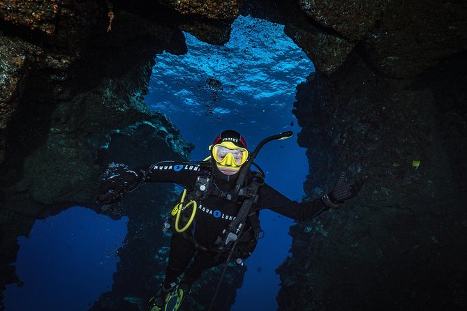 2 Tank Lanai Cathedral Scuba Dive Via Boat for Certified Divers - What you’ll likely see underwater: caves, swim-throughs, and critters