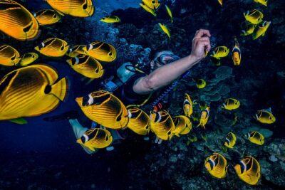 2 Tank Lanai Cathedral Scuba Dive Via Boat for Certified Divers - Two underwater sessions at Lanai’s Cathedrals and beyond
