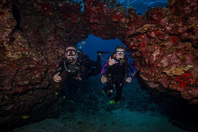 2 Tank Lanai Cathedral Scuba Dive Via Boat for Certified Divers - Gear, briefings, and the crew attention that makes the day feel easy