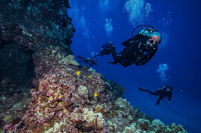 2 Tank Lanai Cathedral Scuba Dive Via Boat for Certified Divers - Price and value: is $306.89 for two tanks worth it?
