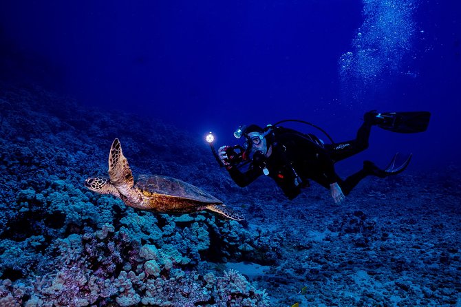 2 Tank Lanai Cathedral Scuba Dive Via Boat for Certified Divers - Should you book this Lanai Cathedrals tour?