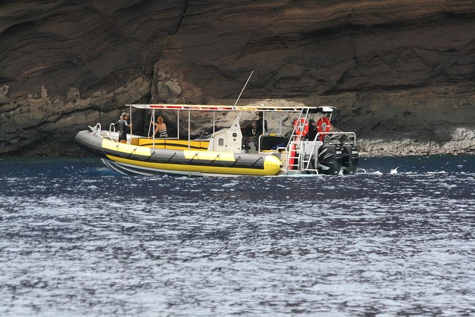 5 Hour Molokini Snorkel & Turtle Tour in Maui - Key highlights worth planning around