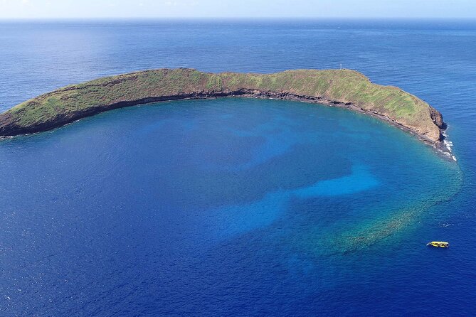 5 Hour Molokini Snorkel & Turtle Tour in Maui - Puʻu Olai, Blue Lagoon, and Coral Forest: where the fish and turtles stack up