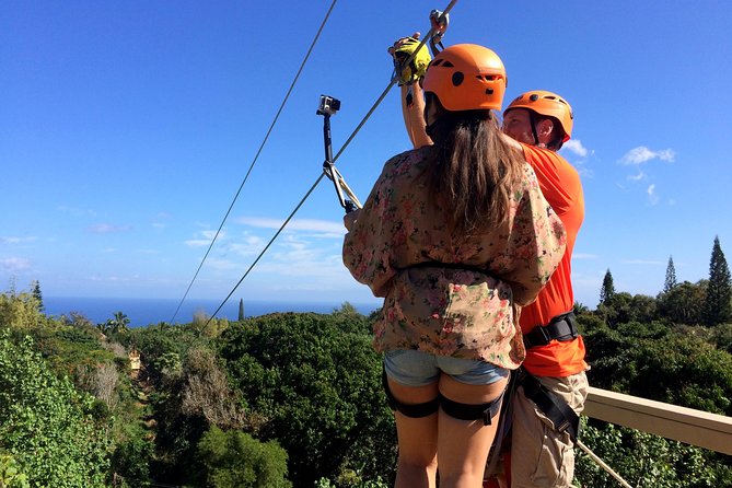 5 Line Jungle Zipline Eco Adventure - Key highlights worth putting on your radar