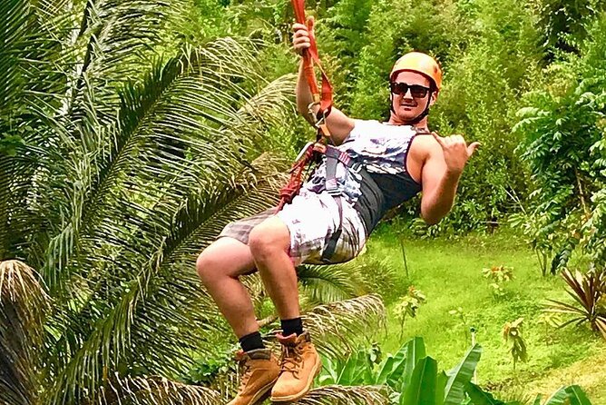 5 Line Jungle Zipline Eco Adventure - The Real Working Farm Portion (Bananas, Mangoes, Passion Fruit, Ginger)