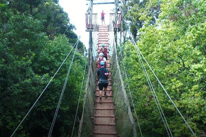 6 Dual-Zipline Mountain Adventure in Maui - Safety and guide teamwork: why this tour earns trust