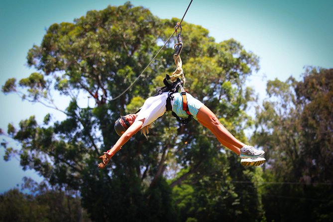 7-Line Maui Zipline on the North Shore - What Happens From Check-In to Clipping In