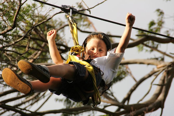 7-Line Maui Zipline on the North Shore - Group Size and How Waiting Affects Your Experience