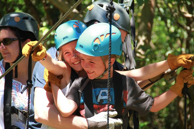 7-Line Maui Zipline on the North Shore - Riding the 7 Lines: Platforms, Forest Canopy, and the Suspension Bridge