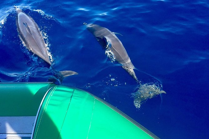 Afternoon Adventure Snorkel from Ka'anapali - The Snorkel Spots: West Maui Reef Time With a Guide at Your Shoulder