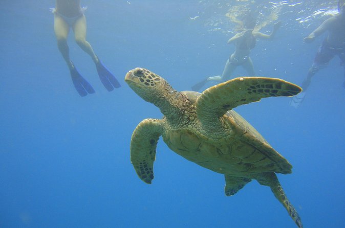 Afternoon Adventure Snorkel from Ka'anapali - Comfort On Board: Shaded Seating, Restroom, and Snacks