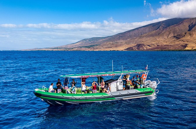 Afternoon Adventure Snorkel from Ka'anapali - Who Should Choose This Tour (and Who Should Skip It)