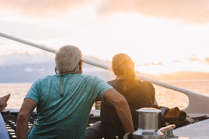 'Alihilani Sunset Sail from Ma'alaea Harbor - Whale Season Chances: What You Can Expect Between December and May
