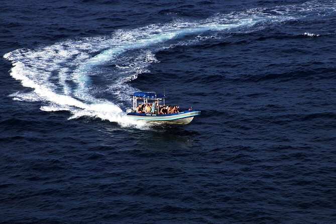 All-Inclusive 5.5 hr La Perouse Bay & Molokini Sea Cave Boat Tour - The Ride Factor: Who Should Expect a Wild, Bouncy Adventure