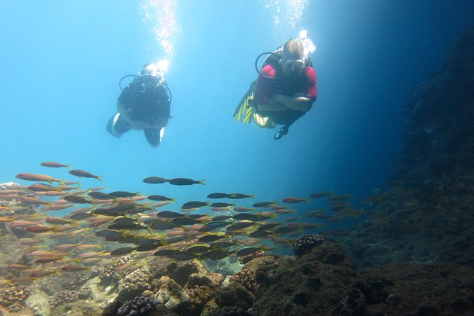 Beginner Scuba Dive in Lahaina: Swimming Required - After Your Session: The 18-Hour Wait for Flying, Ziplines, and Haleakalā