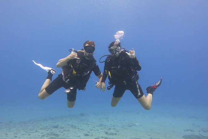 Beginner Scuba Dive in Lahaina: Swimming Required - Getting to Kahekili Beach Park From Lahaina (Without a Ride Included)
