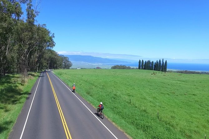 Best Haleakala Downhill Self-Guided Bike Tour with Maui Sunriders - The real vibe: a self-guided Haleakala descent, not a footrace