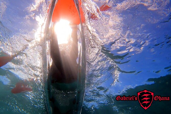 Clear Kayak Tour with Pontoons and Optional Snorkeling-Unlimited - Key highlights worth planning for