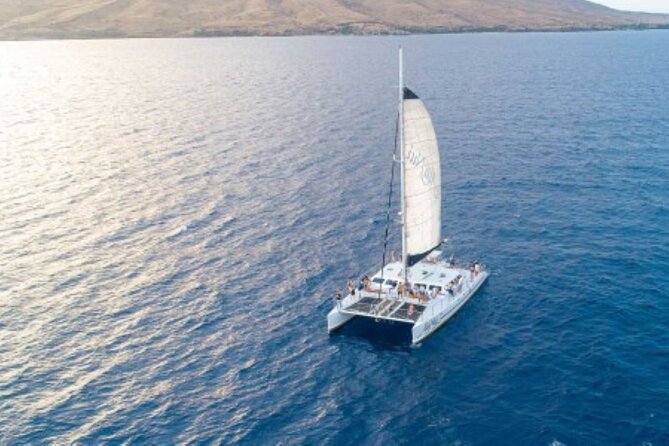 Day's End Cocktail Sunset Sail - Key things that make this sail worth your time