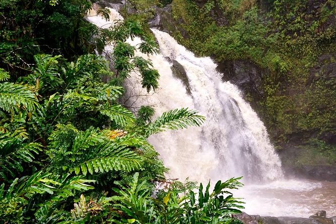 Deluxe Halfway to Hana: Private Tour from Kahului - Food and snacks: banana bread is not an exaggeration