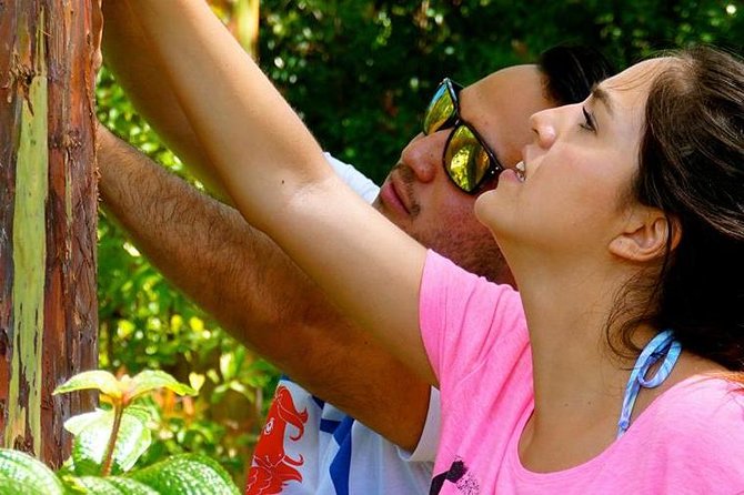 Deluxe Halfway to Hana: Private Tour from Kahului - What makes this private tour work for families and mixed groups