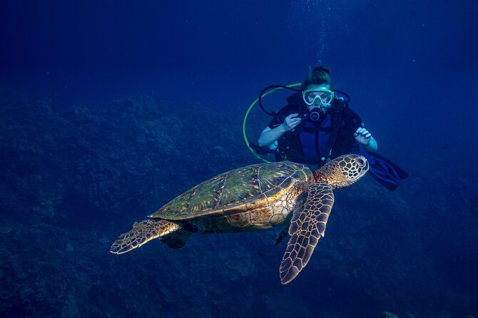 Discover Scuba Diving Class from Lahaina - Key Highlights That Make This Worth Your Time