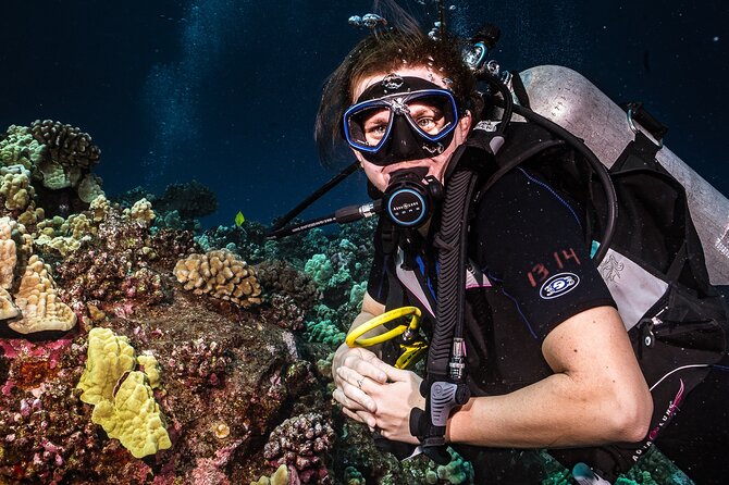 Discover Scuba Diving Class from Lahaina - Price and What You’re Actually Buying