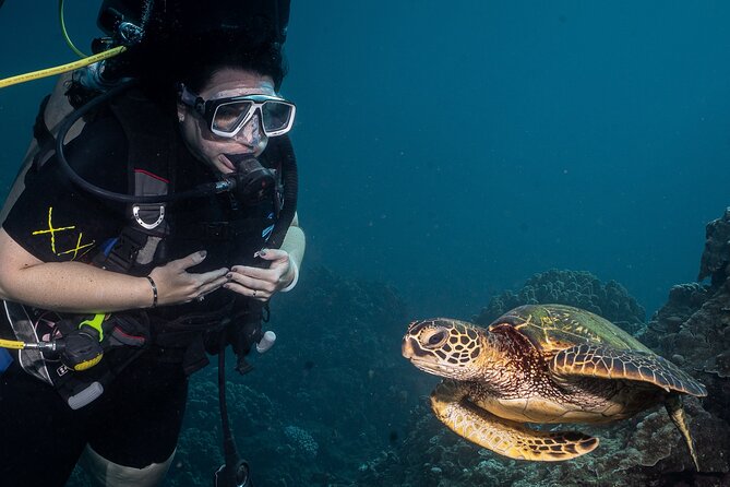 Discover Scuba Diving Class from Lahaina - The Must-Do Before Arrival: PADI eLearning