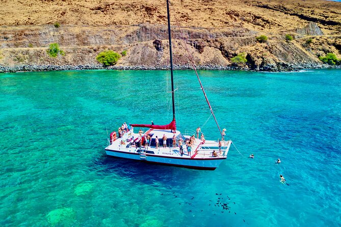 Discover the Magic of Coral Garden’s Turtle Town - Maalaea Harbor - Turtle Town From Maalaea Harbor: Why This Sail-Snorkel Works