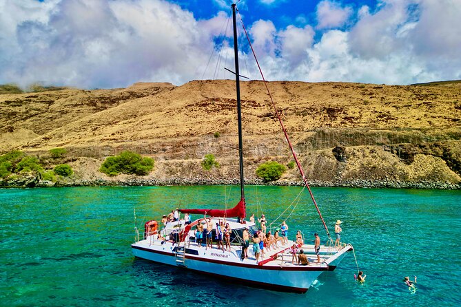 Discover the Magic of Coral Garden’s Turtle Town - Maalaea Harbor - Whales, Dolphins, and the Sail Portion: Seasonal Wildlife Adds Magic