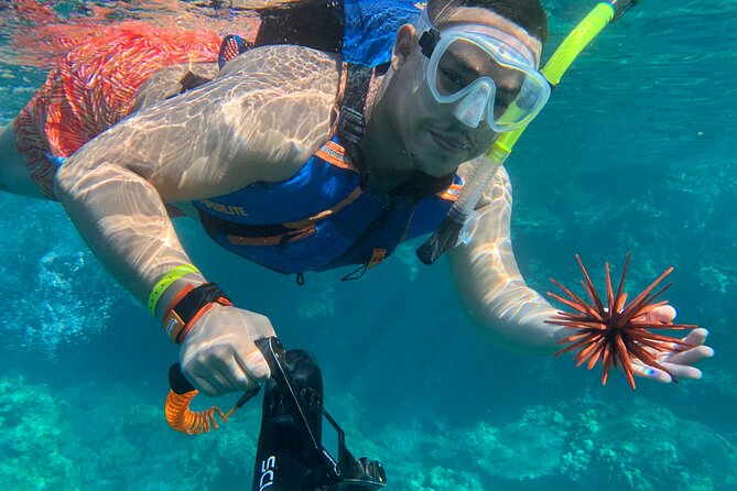 E-Scooter Snorkel With Photo and Video At Turtle Town - Price and value: is $159 worth it on Maui?