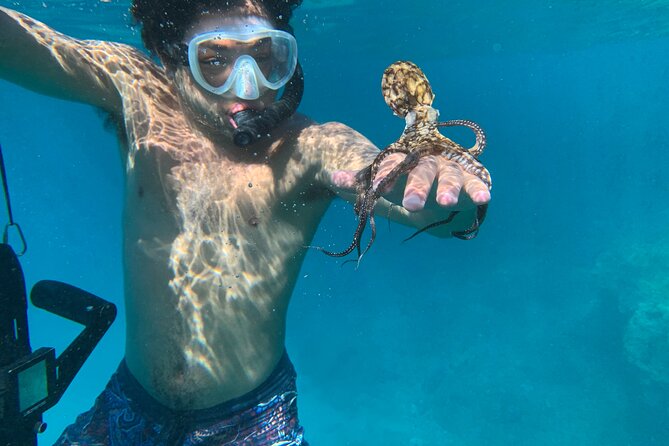 E-Scooter Snorkel With Photo and Video At Turtle Town - Safety, equipment, and the “small issues” reality check
