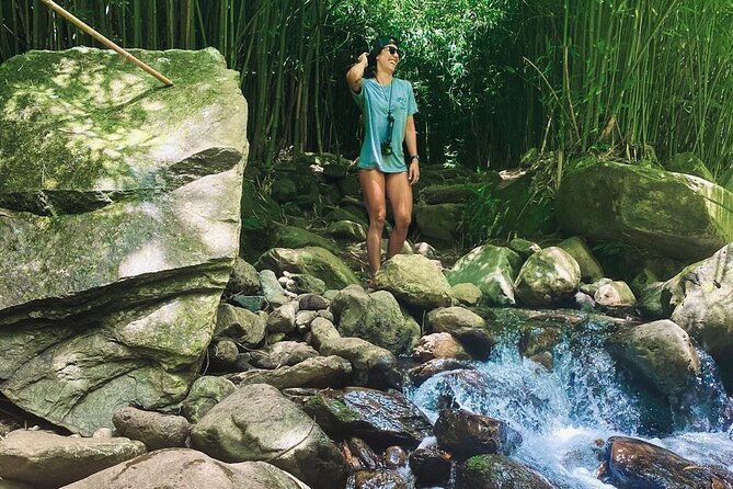Epic Waterfall Adventure, the Best of Maui - Rope Swings and Cliff Jumps: Optional, But the Guide Safety Matters