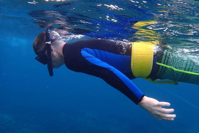 Four Winds Molokini Snorkeling Tour from Maalaea Harbor - Cruise toward Molokini: Haleakalā views, island spotting, and a naturalist onboard
