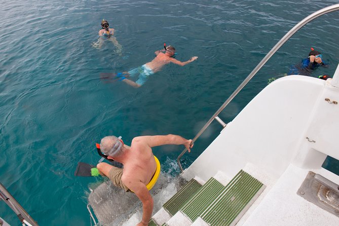 Four Winds Molokini Snorkeling Tour from Maalaea Harbor - Glass-bottom viewing plus Sea Boards: the reef is visible even if you stay dry
