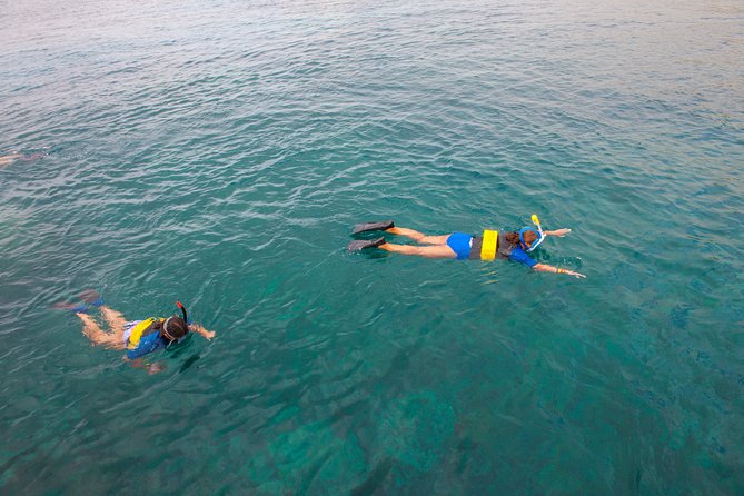 Four Winds Molokini Snorkeling Tour from Maalaea Harbor - Price and value: why $202.59 can make sense for Molokini day trips