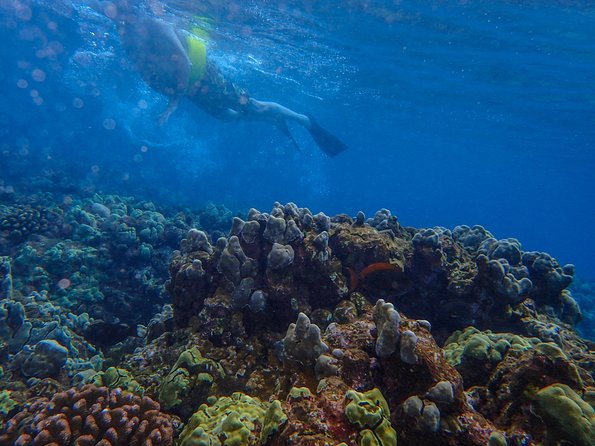 Four Winds Molokini Snorkeling Tour from Maalaea Harbor - Molokini Crater snorkeling: 2 hours of reef time with room for first-timers