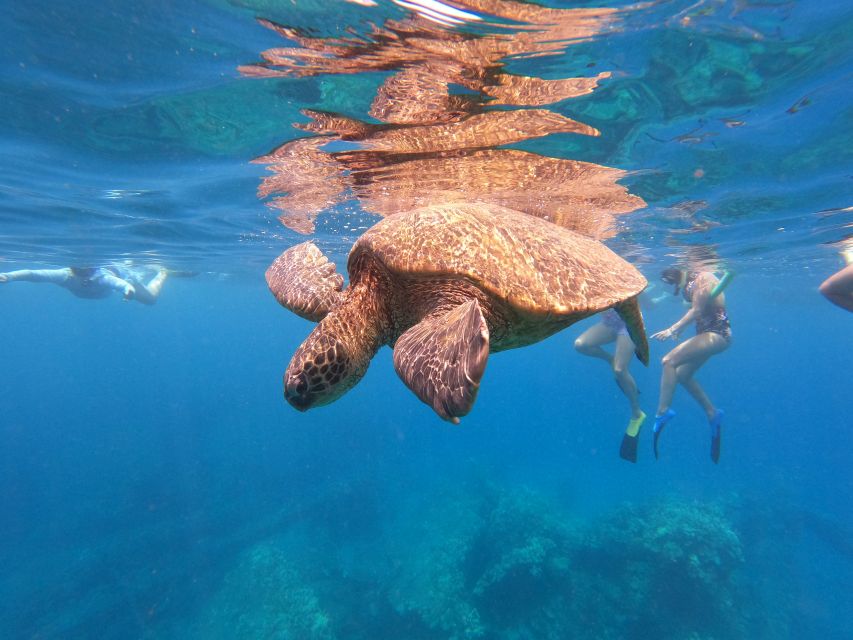 From Ka'anapali: West Maui Half-Day Snorkel Tour w/ Food - Key highlights at a glance