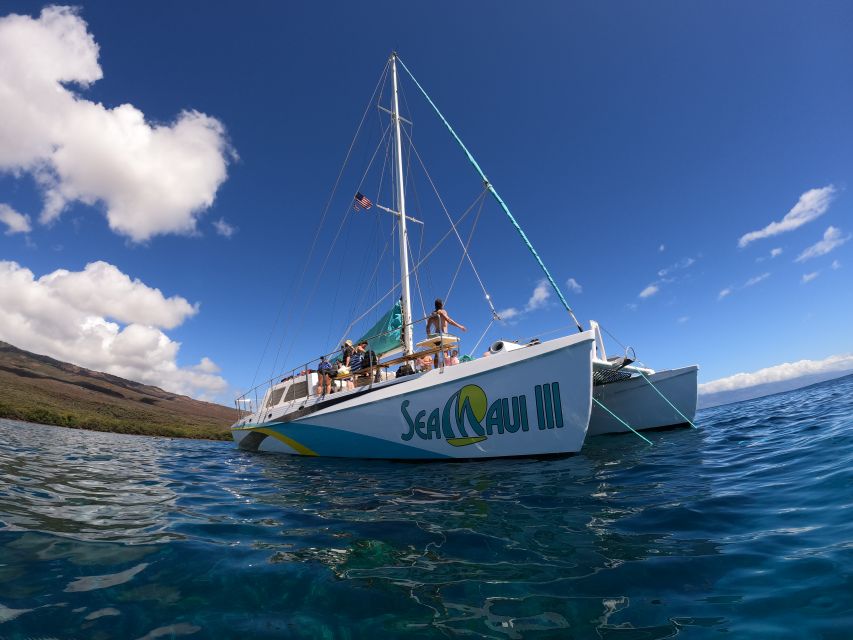 From Ka'anapali: West Maui Half-Day Snorkel Tour w/ Food - Luxury catamaran snorkeling from Ka’anapali (without the full-day drag)