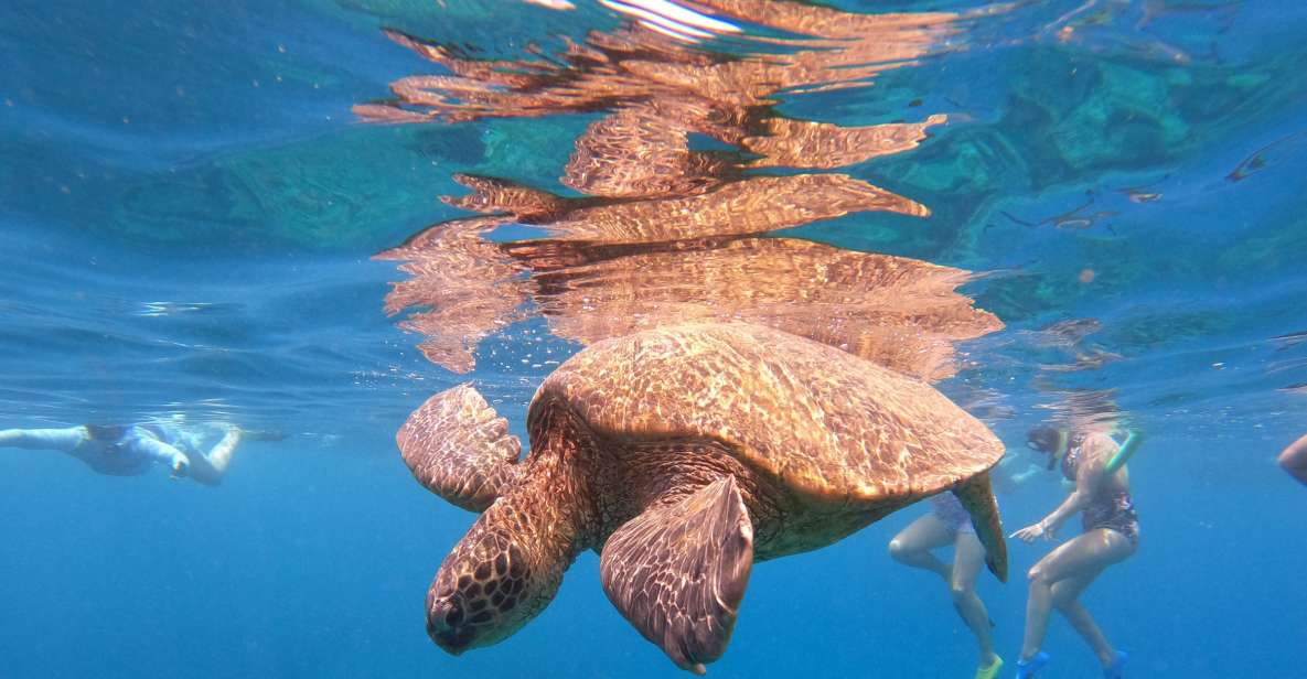 From Ka'anapali: West Maui Half-Day Snorkel Tour w/ Food - Stop-by-stop: how the timing keeps you fed and focused