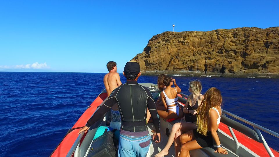 From Kihei: Molokini Crater and Turtle Town Snorkeling - Who this tour is best for (and who should skip it)