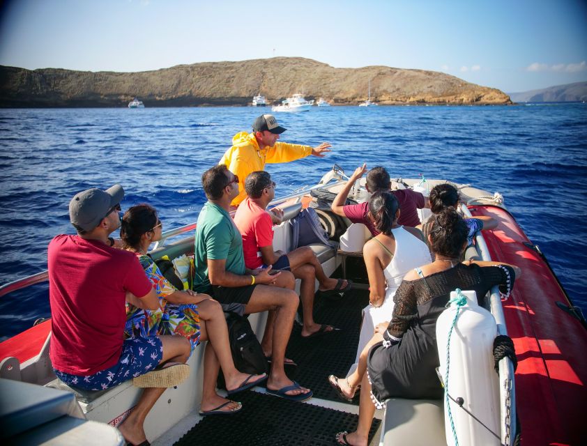 From Kihei: Molokini Crater and Turtle Town Snorkeling - The 3-hour flow: whale spotting, then Molokini, then turtles